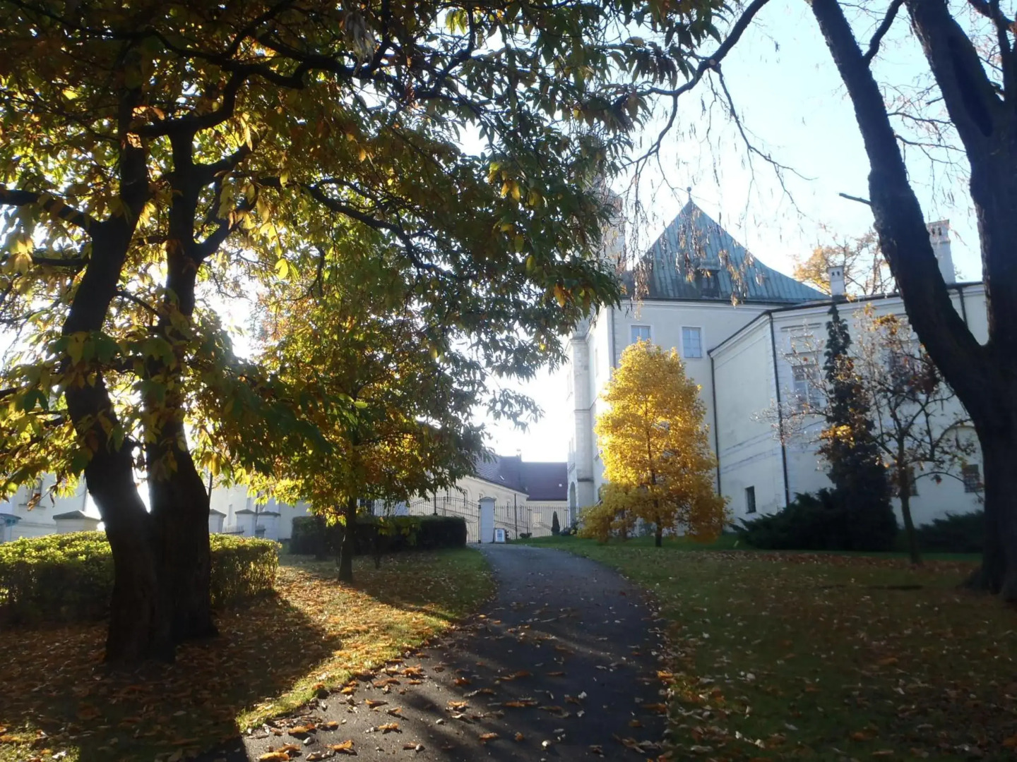 Hotel & Caffe Silesia