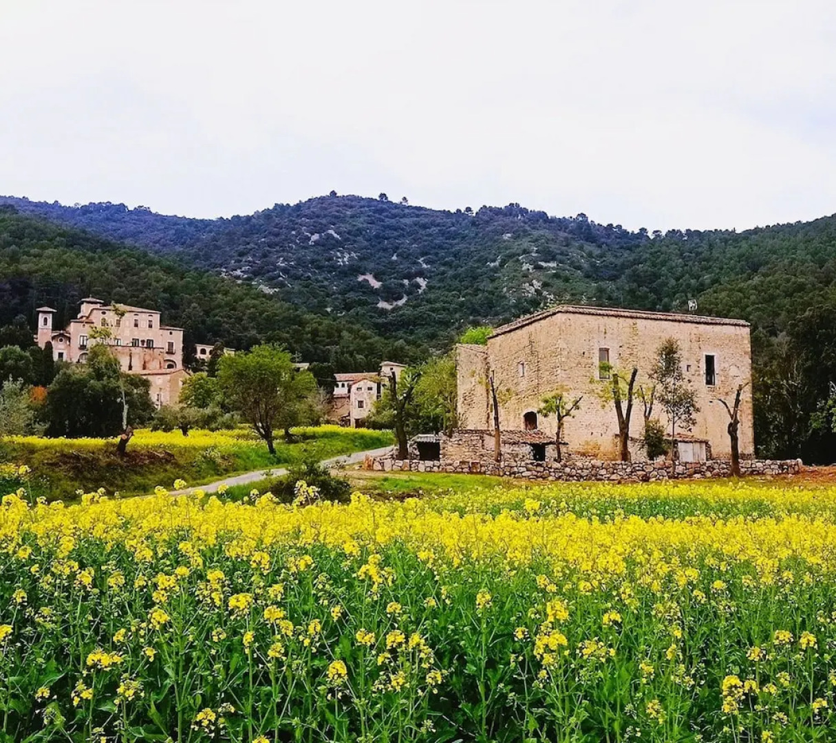El Castell de Segueró