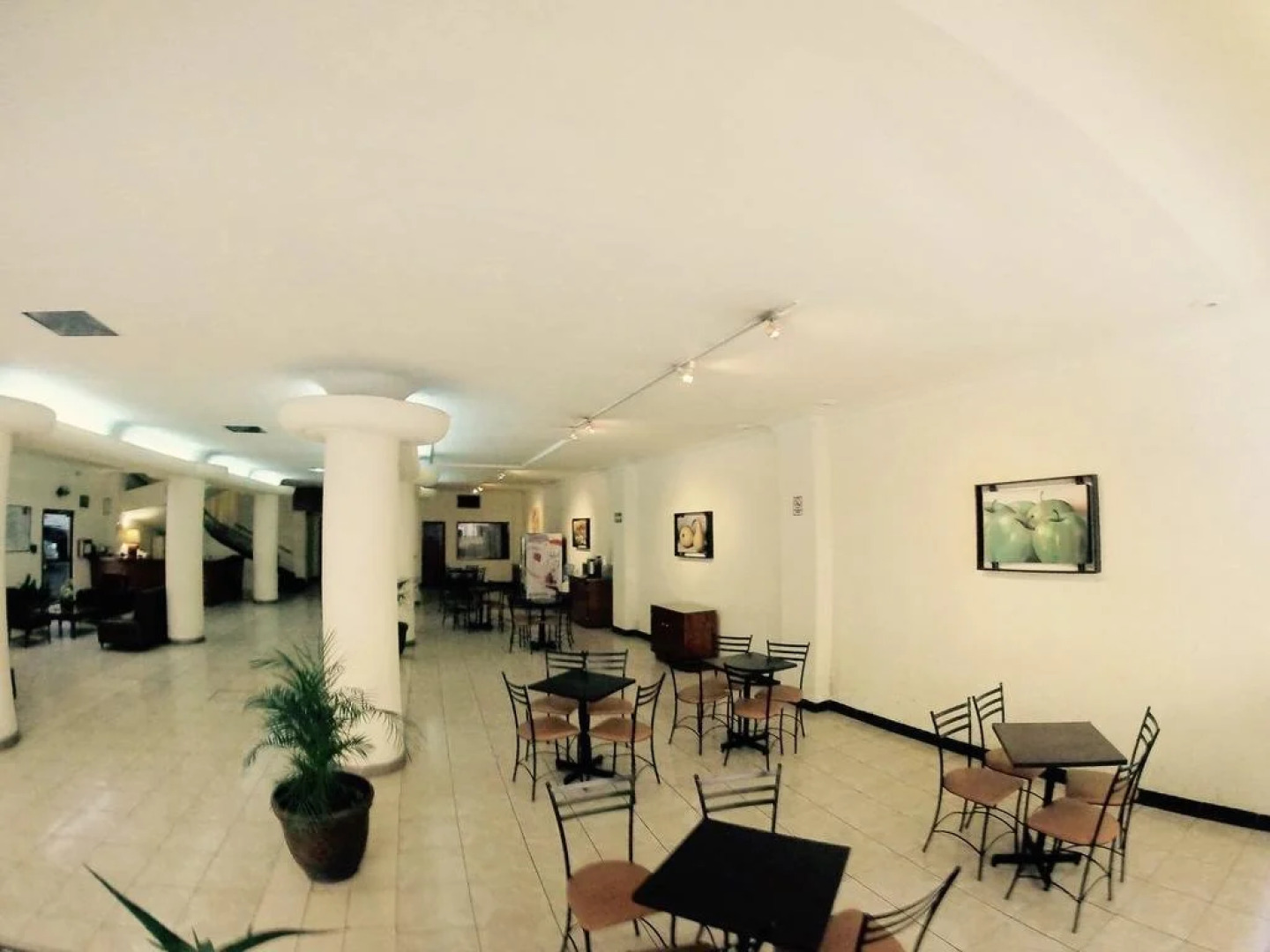 Hotel Capri de León México