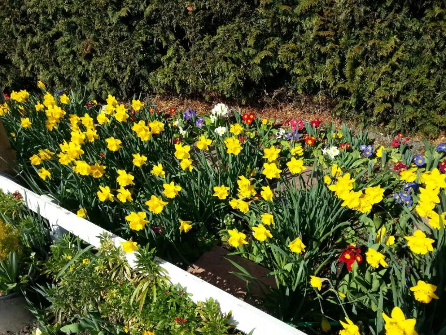 Meadows Way Guest House