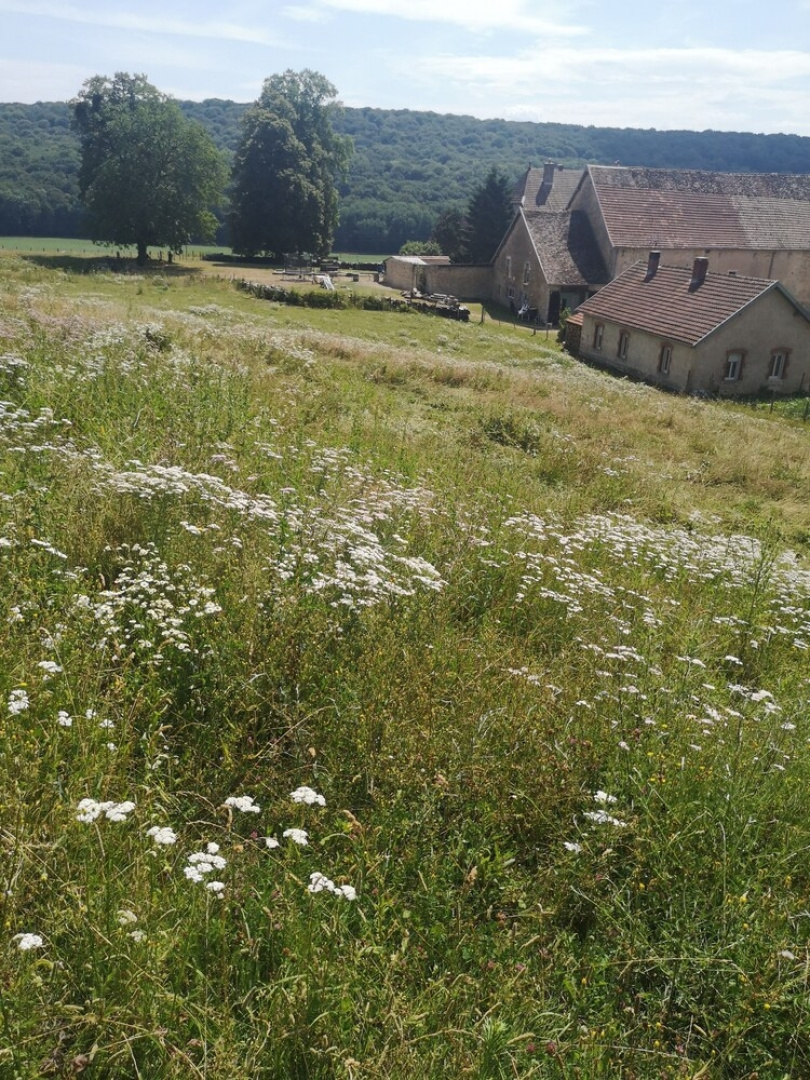 Domaine de Fontenelay