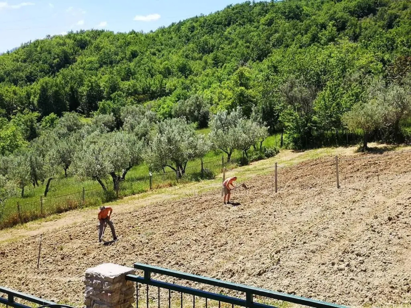 Agriturismo Olimpo