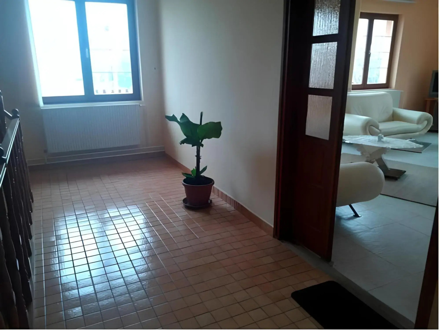 Panda Vendégszállás