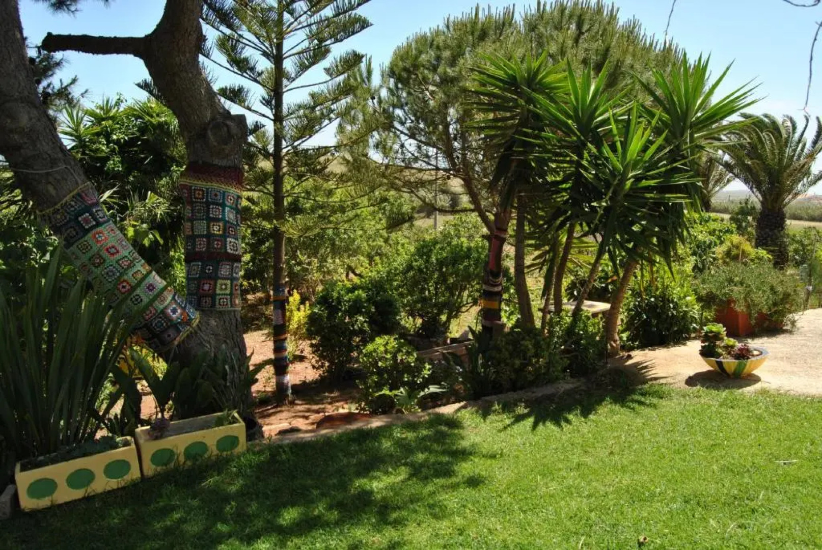 Vivenda Familia Pedro