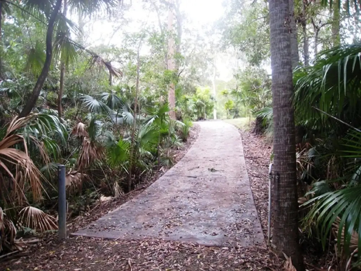 SWR Rainforest Retreat 2