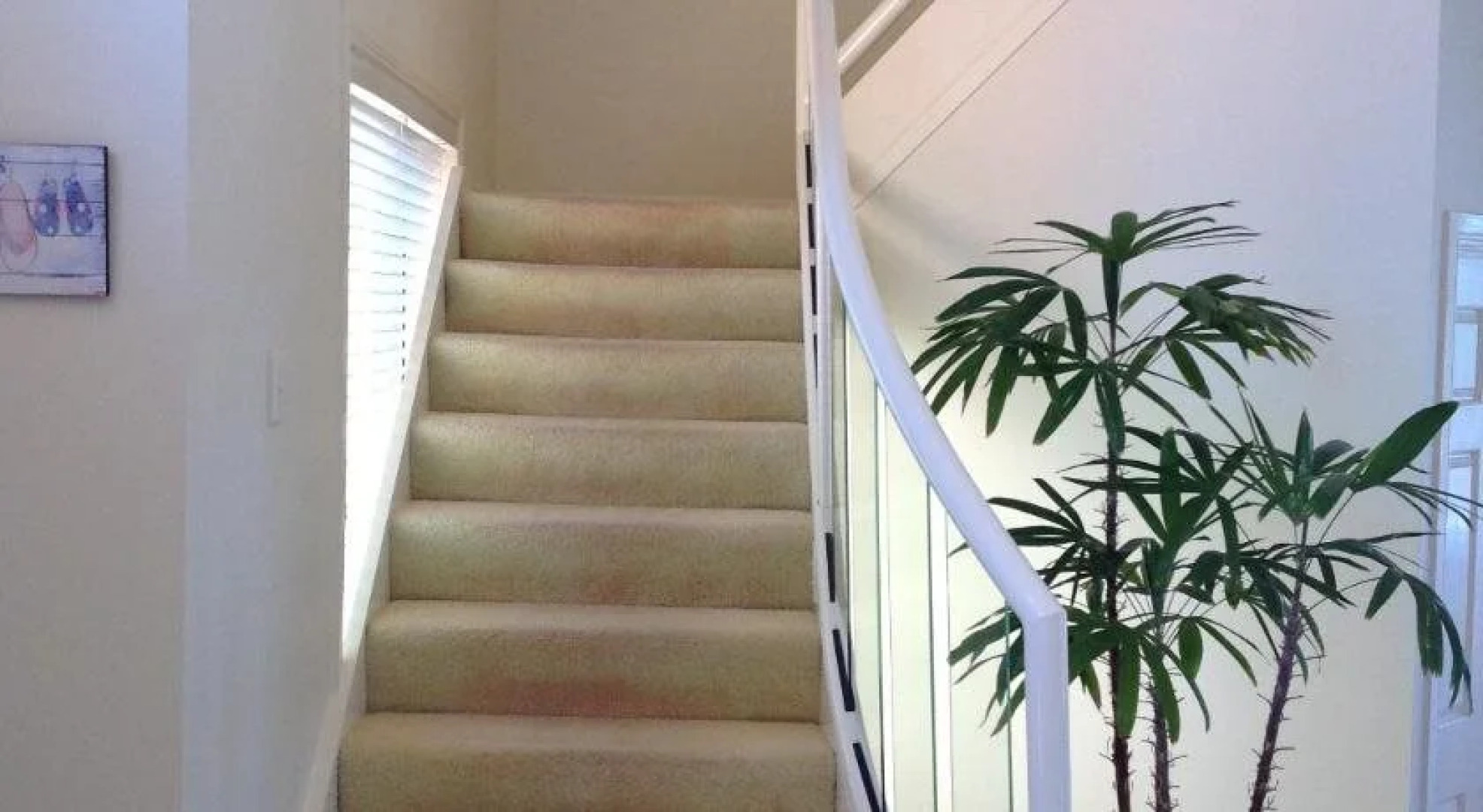 Paradisio Bed & Breakfast