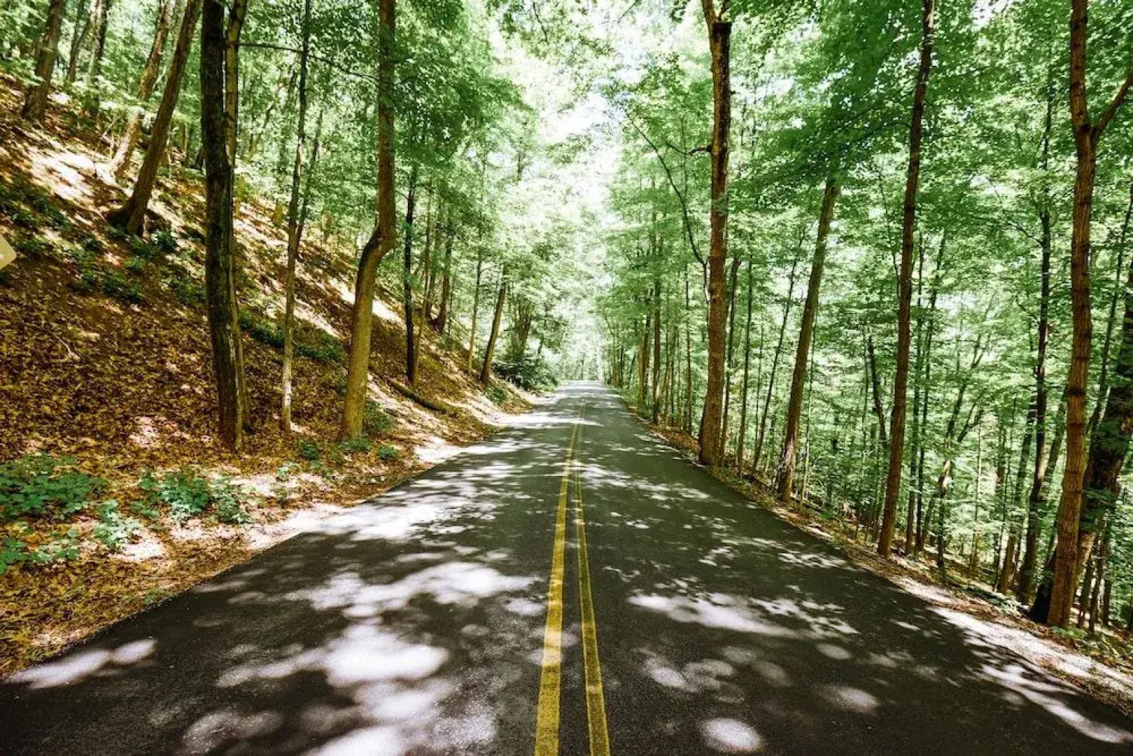 Rainbow Mountain Resort