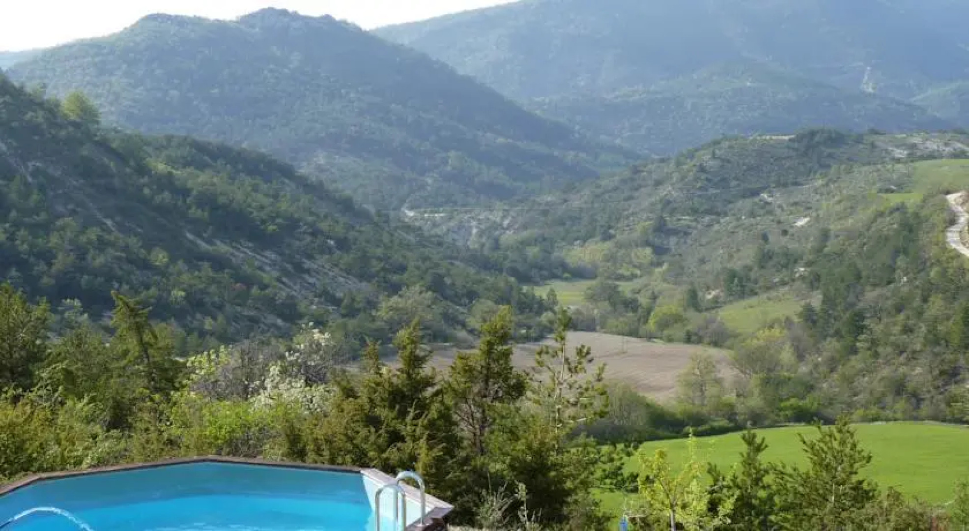 Les Carlines du Grand Bois