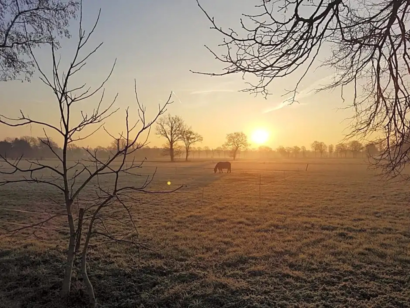 Thil's Bed and Breakfast