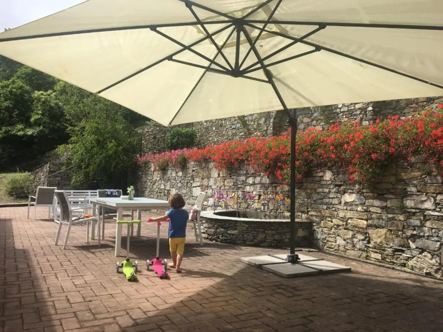 Villa Olivari - apt il Cedro