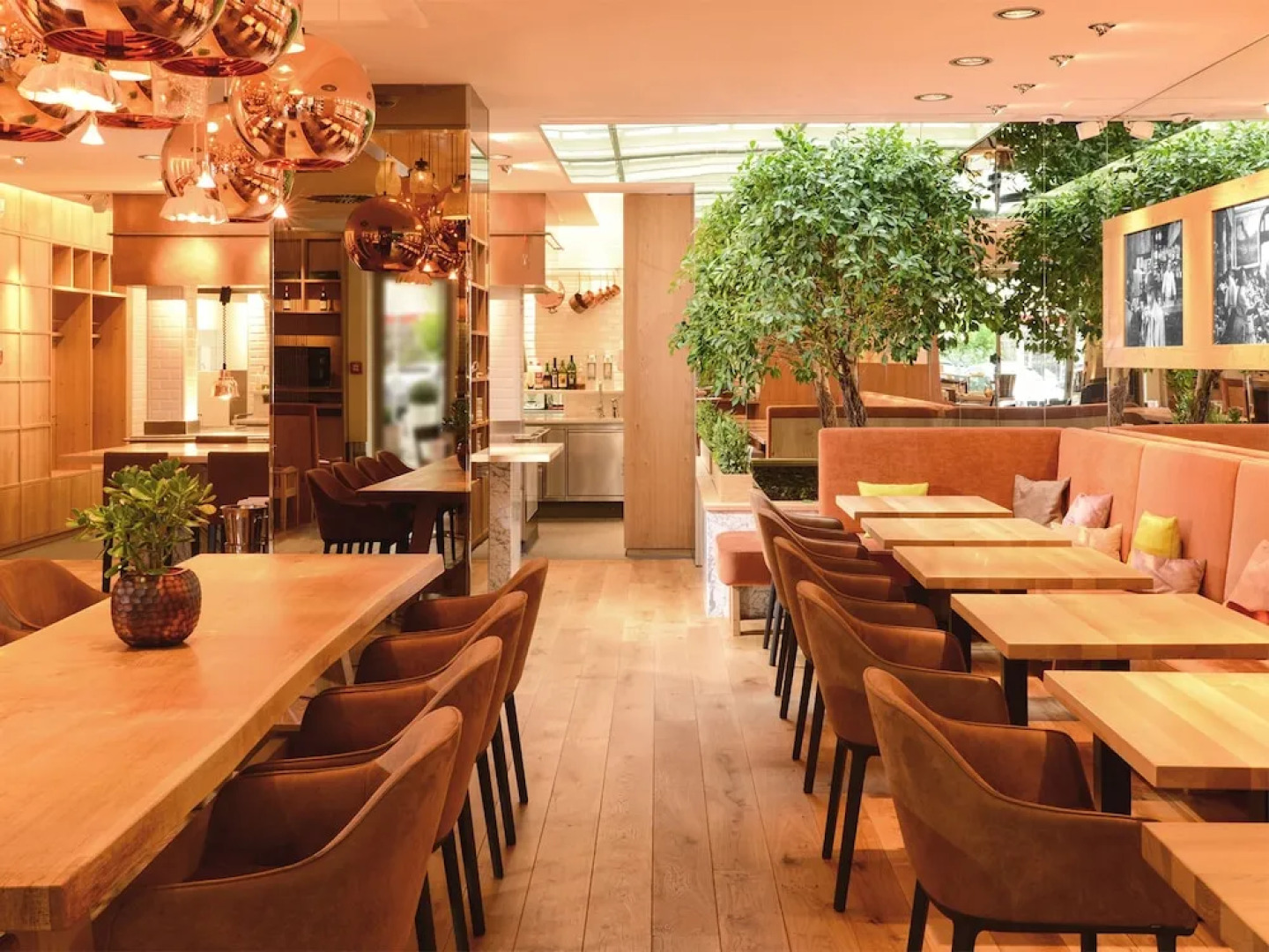 Citta Trüffel Hotel