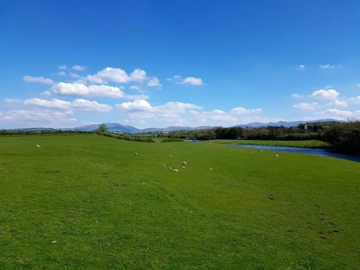 Workington House Bed and Breakfast