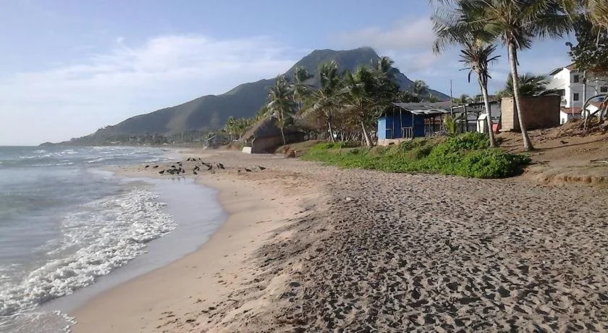 Posada Casa Las Trinitarias