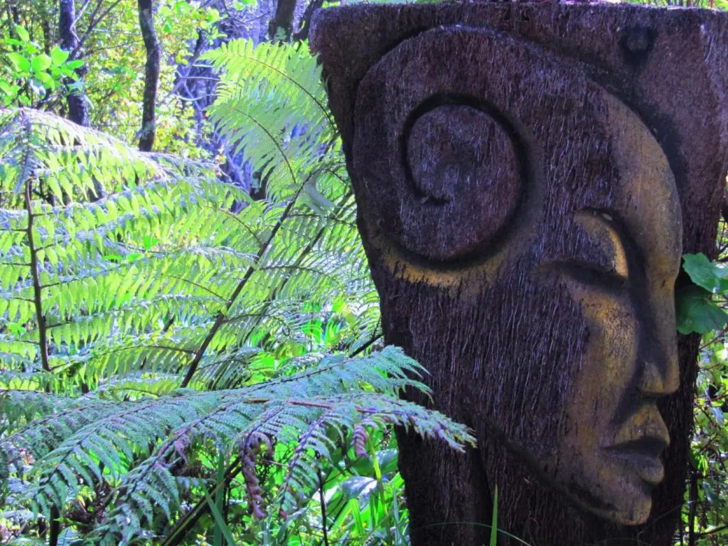 Waiheke Island Guesthouse