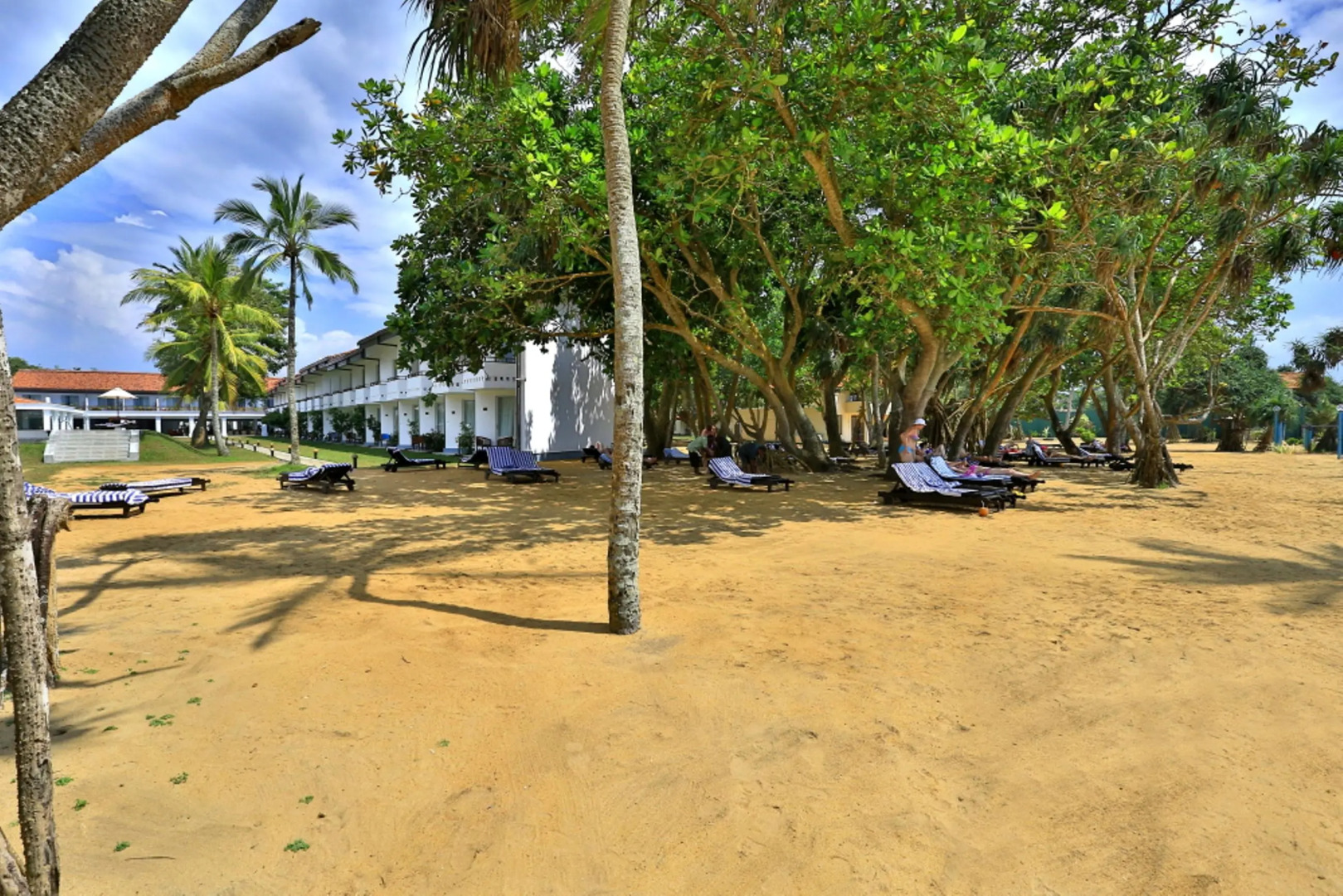 Hibiscus Beach Hotel And Villas