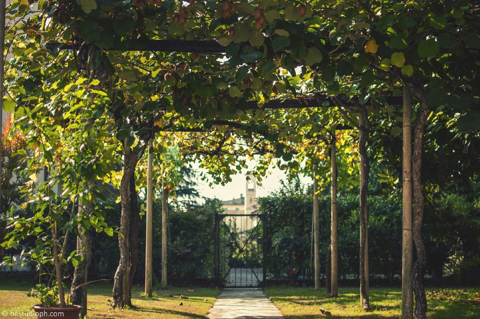 Bed and Breakfast All'antico Brolo