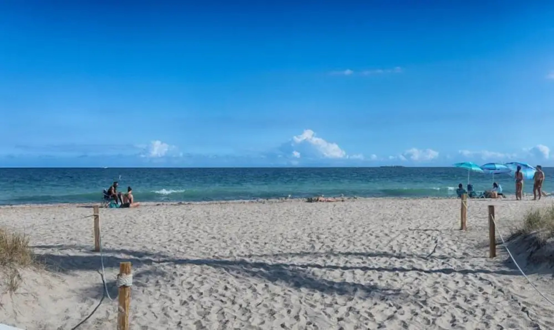 Wilton Way Orchid House