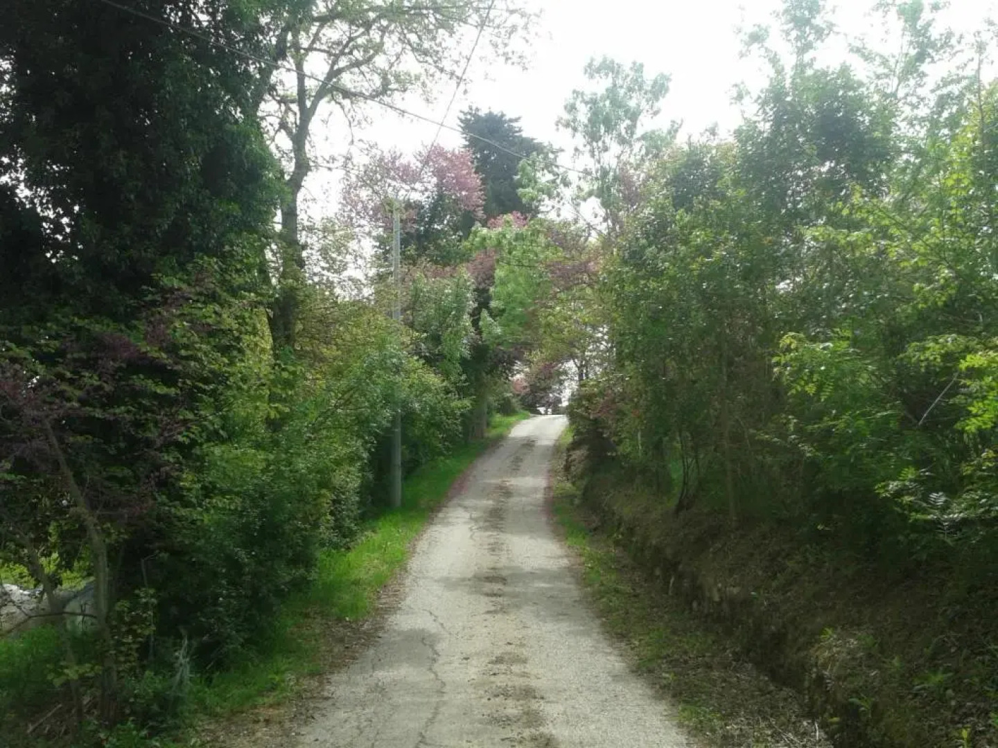 Appartamento in Villa