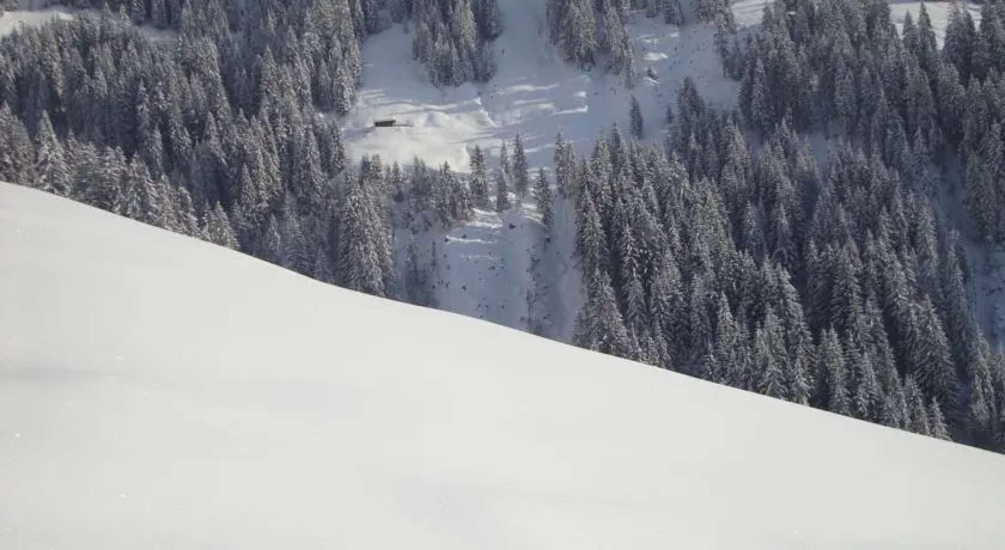 Thalernhof - Almhütte Kitzbühel