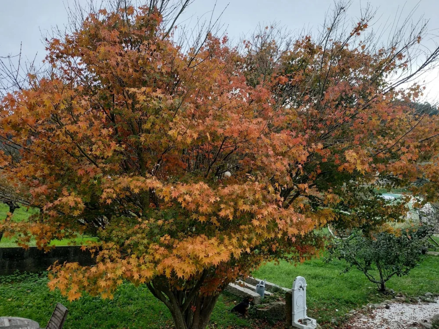 Madeinfofan- Adults Only