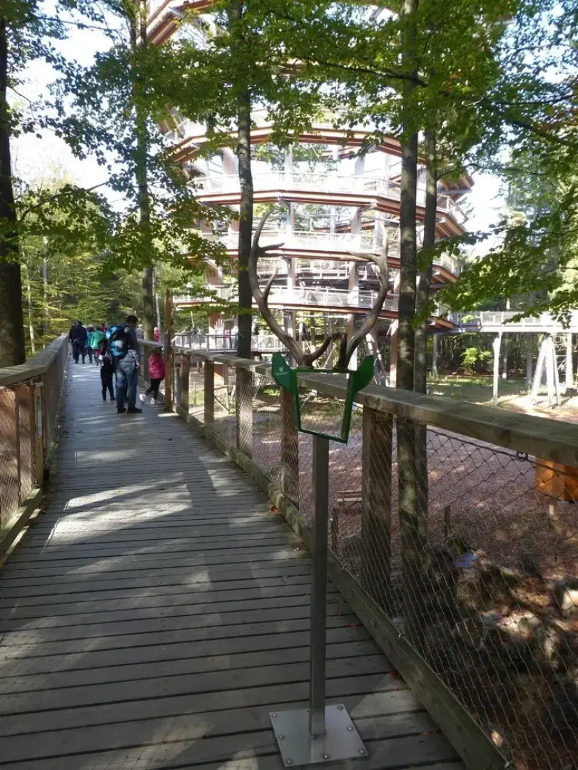 Steigerwald-Apartments