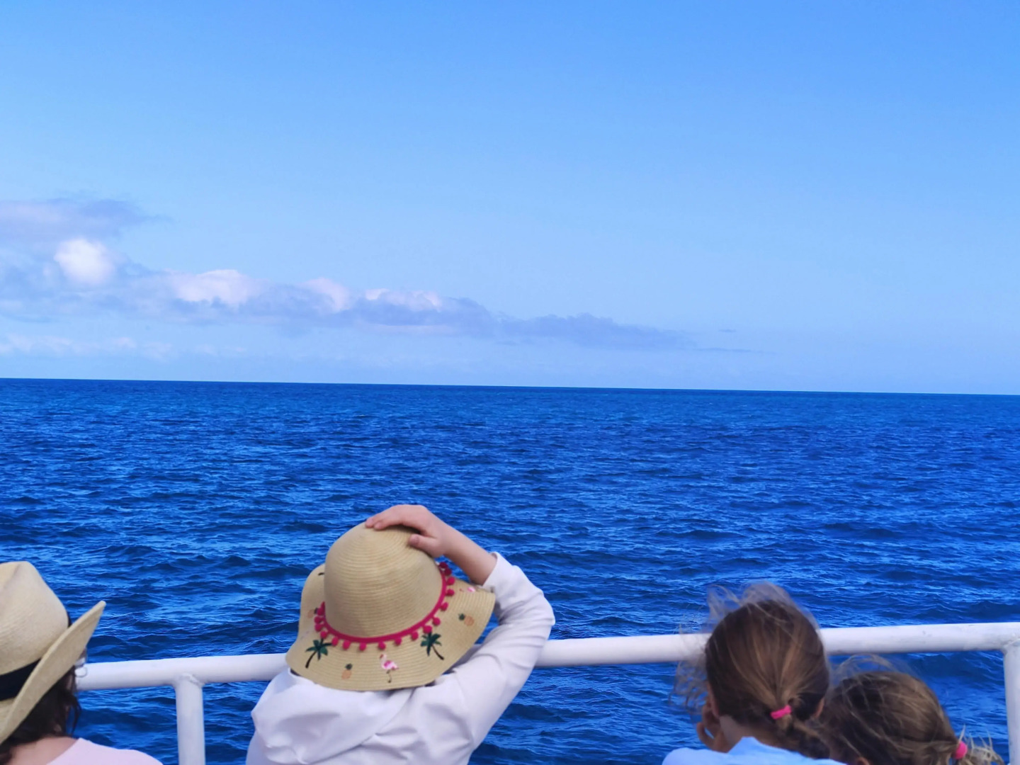 Best Western Ambassador Motor Lodge