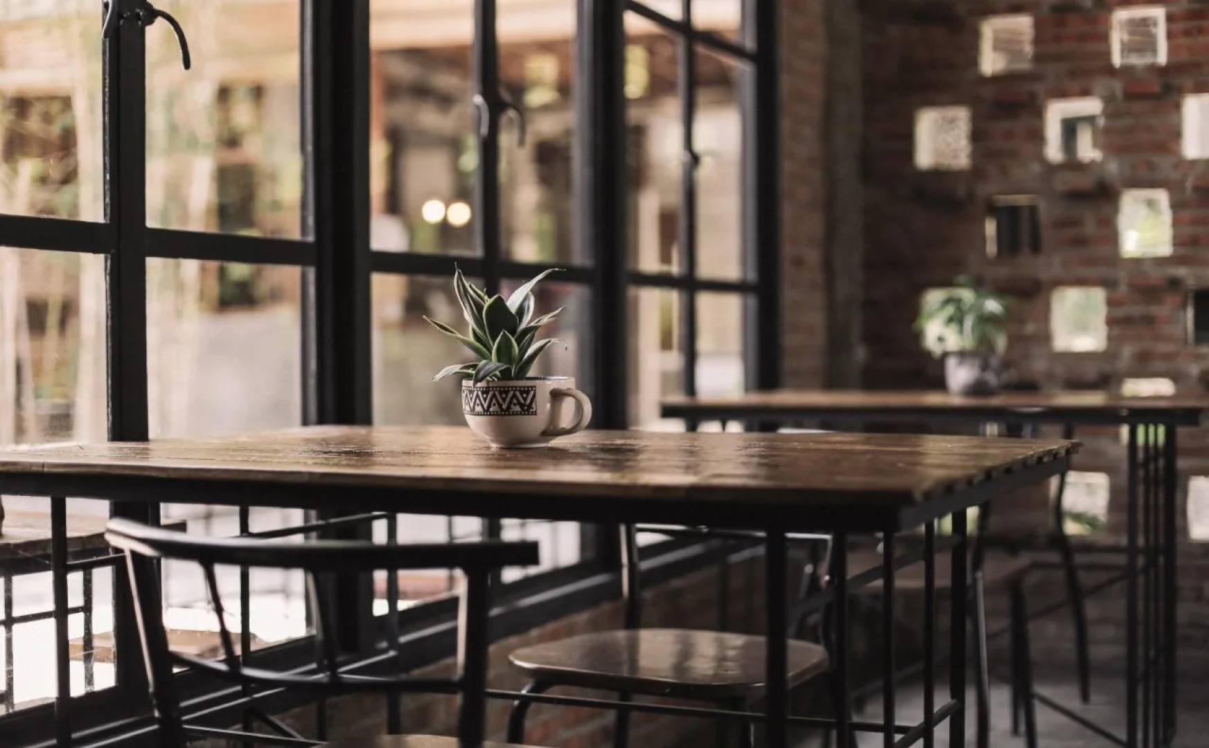 The Flying Fish Hostel