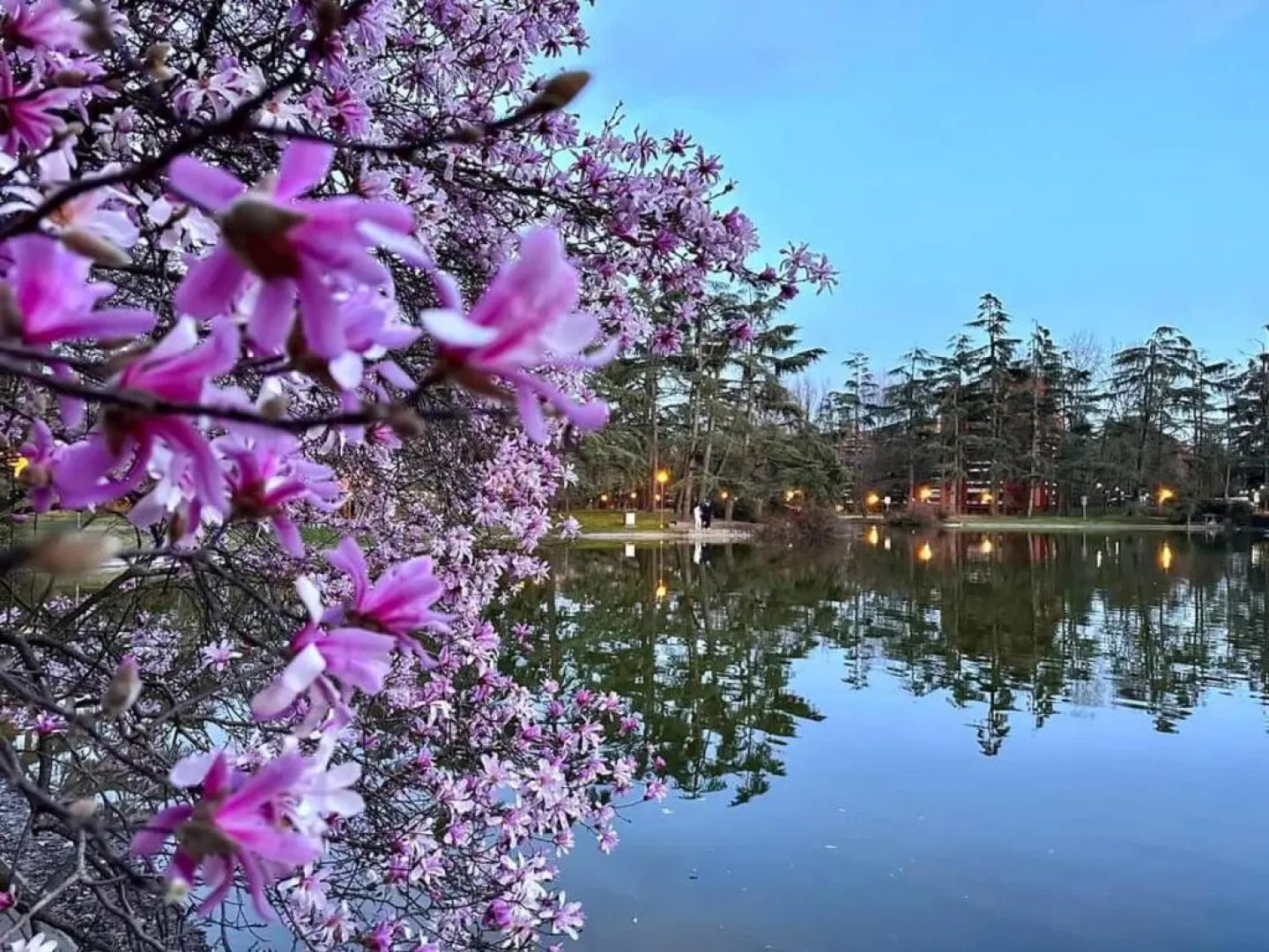 Milano 3 Apartment Pal Cigni