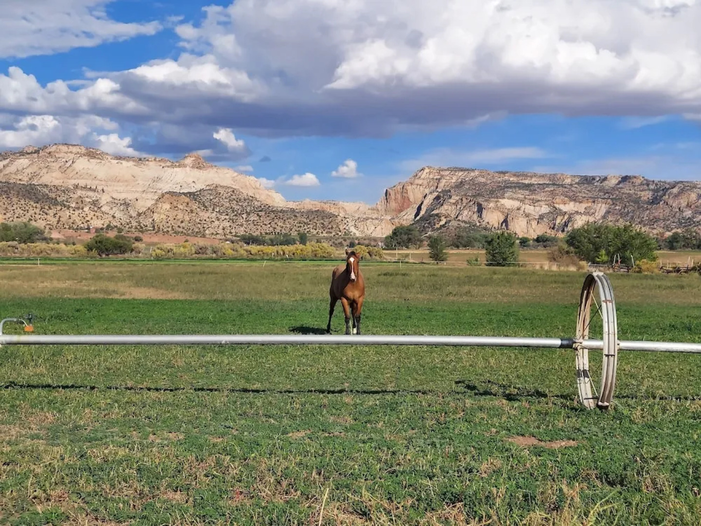 Canyons of Escalante RV Park