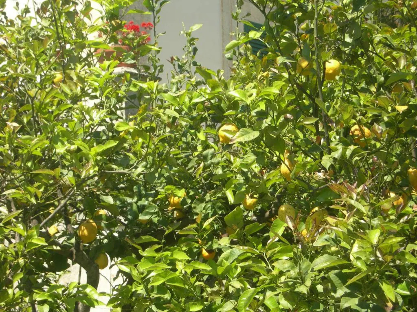 Modica Garden Resort