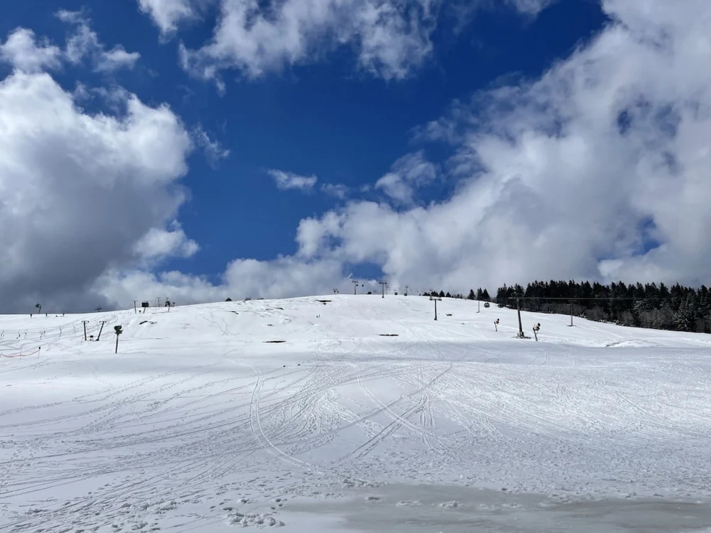 Schwarzwaldhaus Angelhof