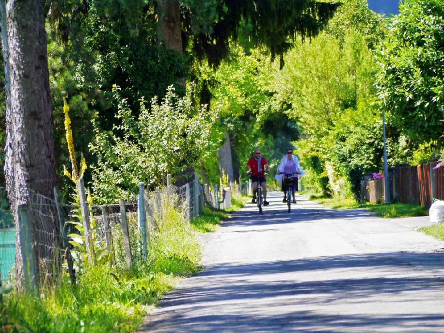 Chalet Maria Interlaken