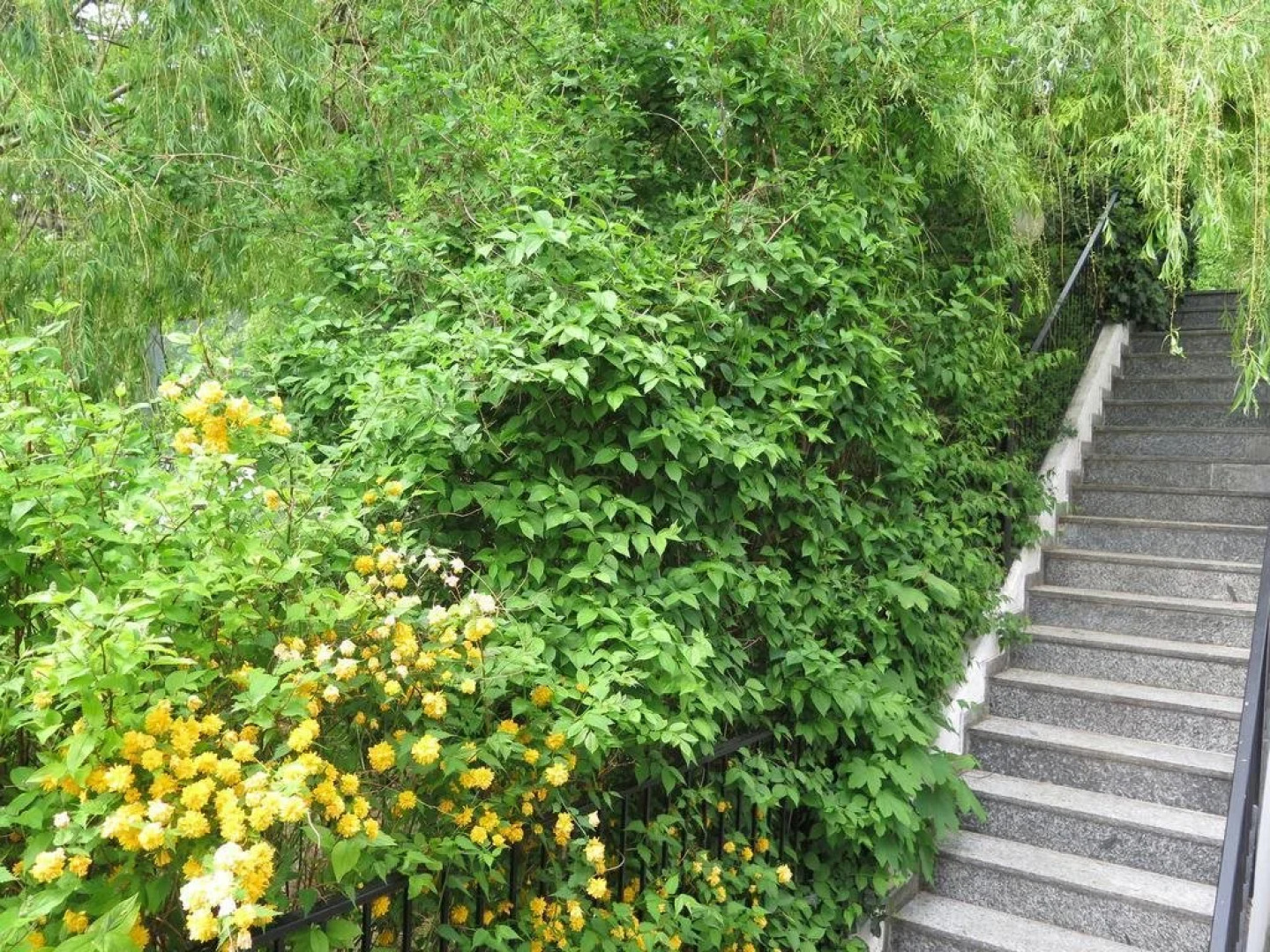 Hotel-Pension Goldenberg