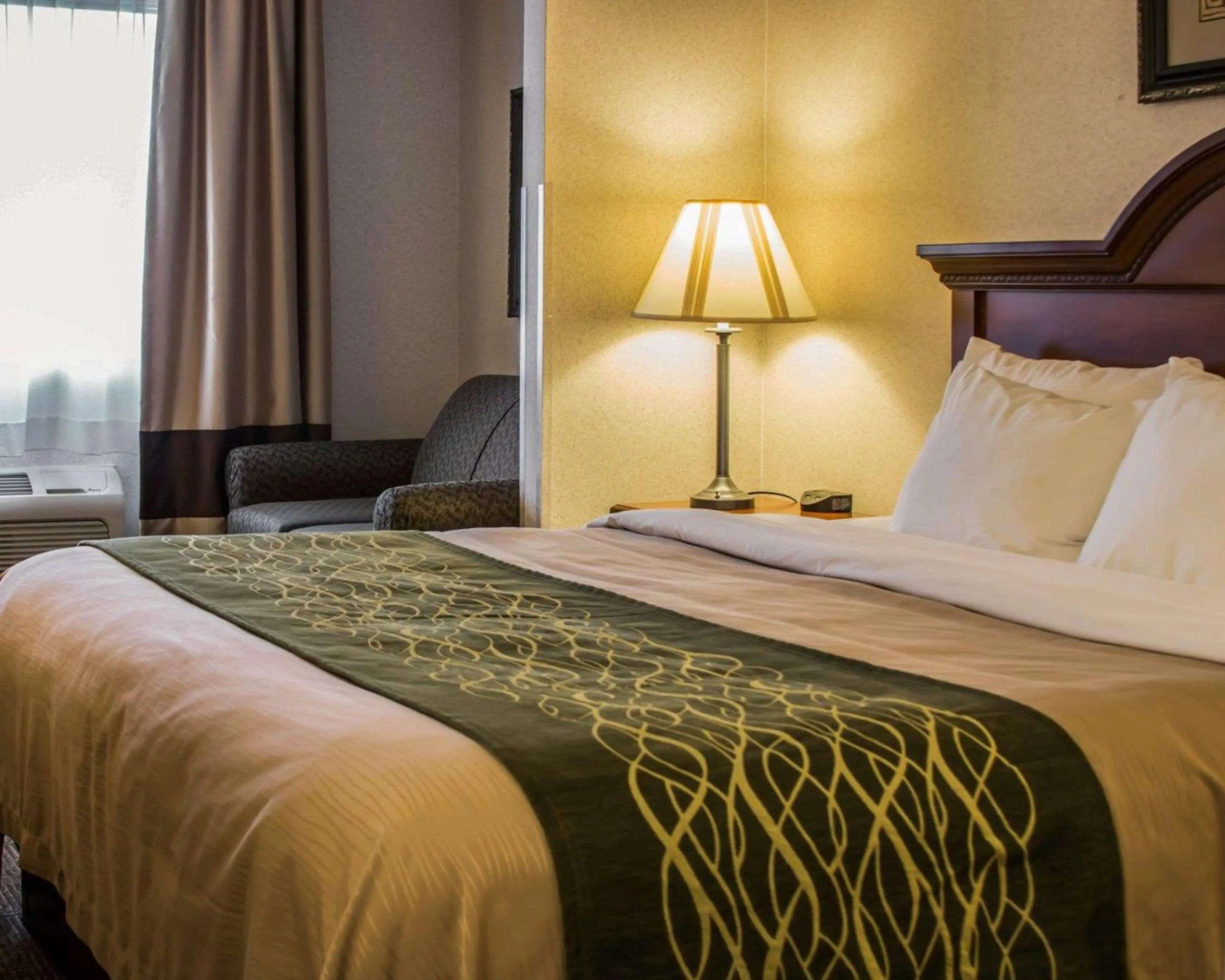 Comfort Inn & Suites Diamondale – Lansing