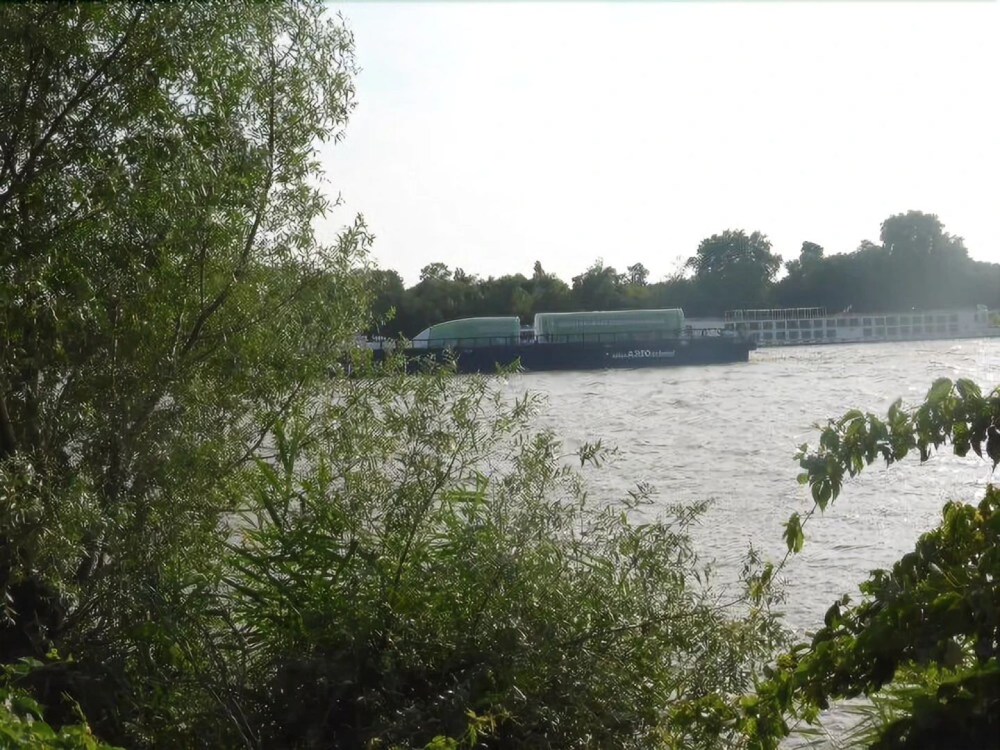 Les Rives de Garonne Les Platanes