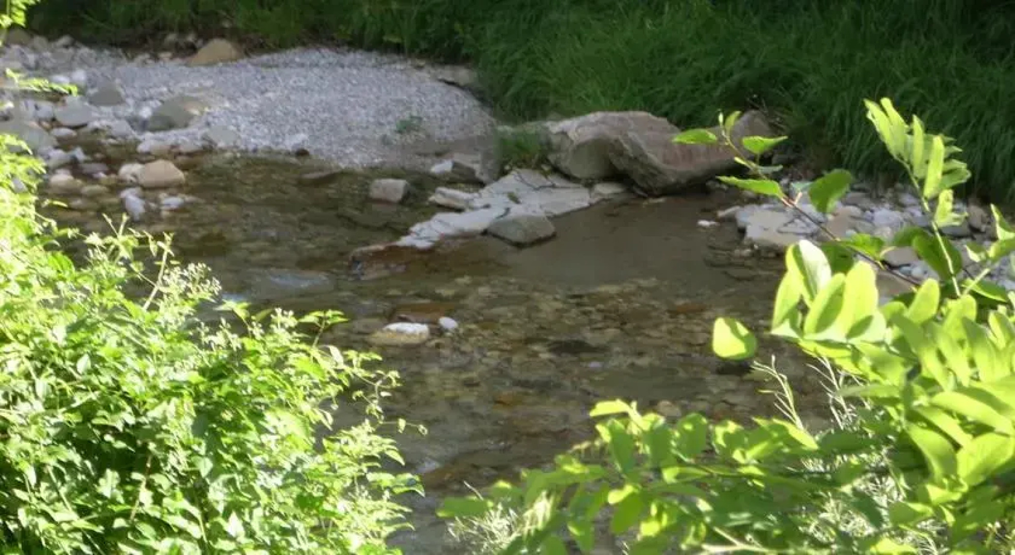 Parco Dolomiti Fisterre B&B