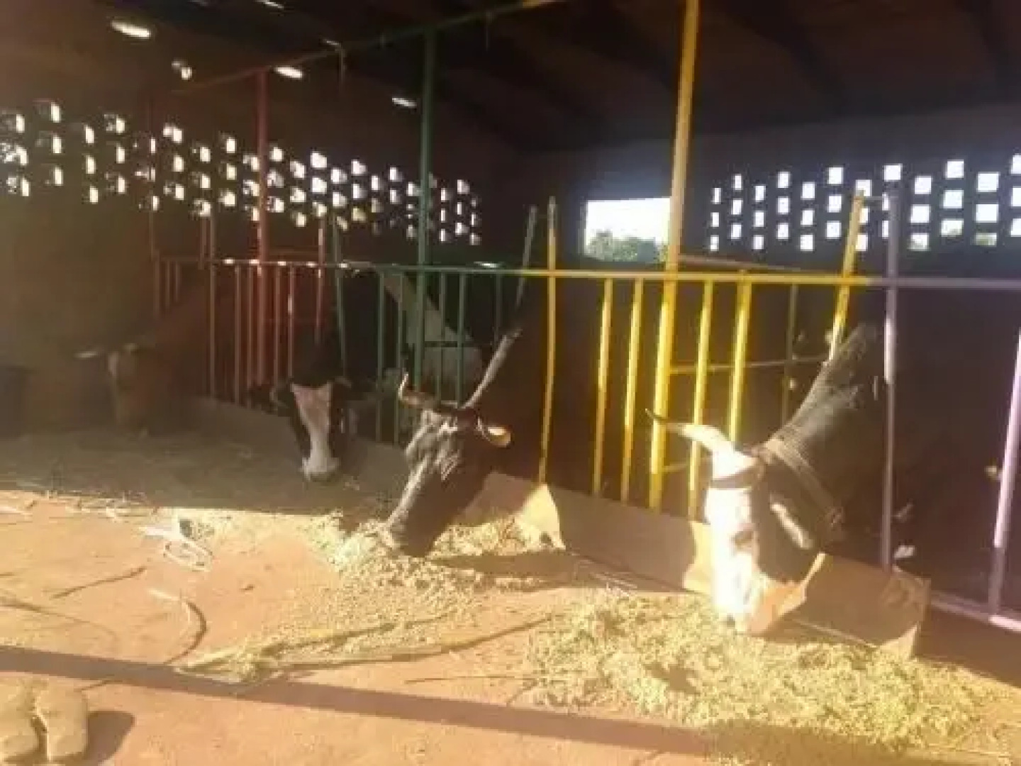 Bungalow De La Granja La Lechuza