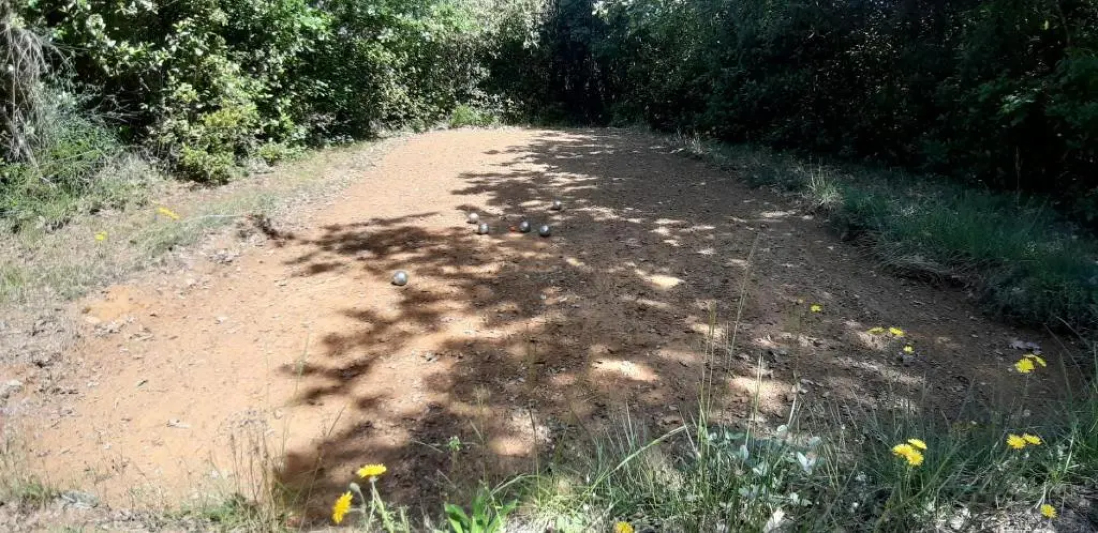 Les Lilas des Chênes