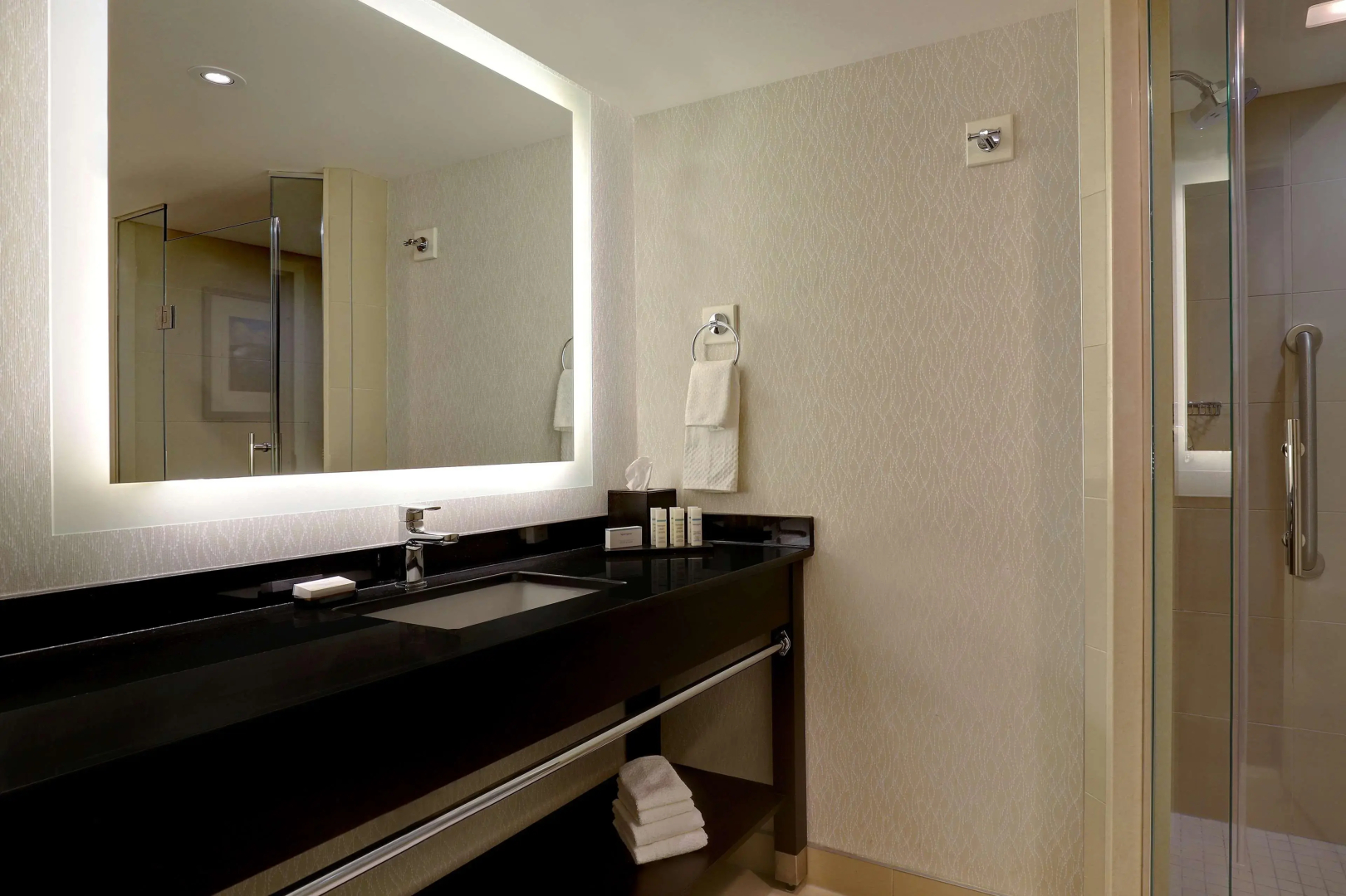 Embassy Suites by Hilton Niagara Falls Fallsview