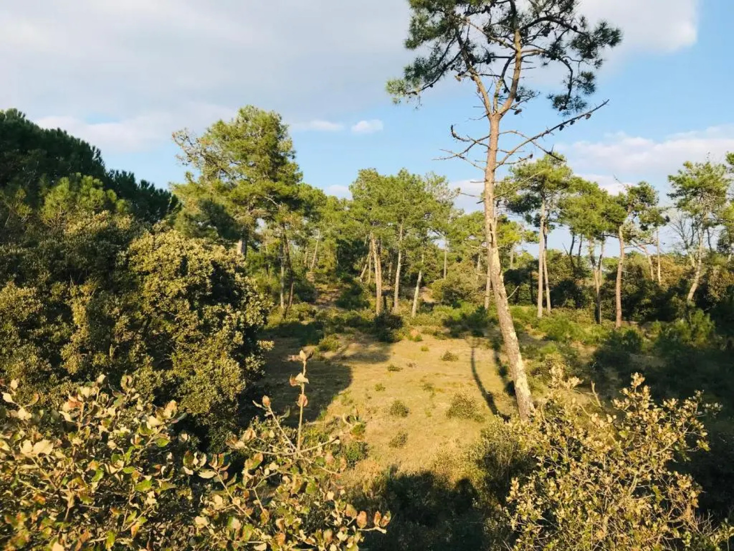 180° vue océan, T3 marin haut de gamme