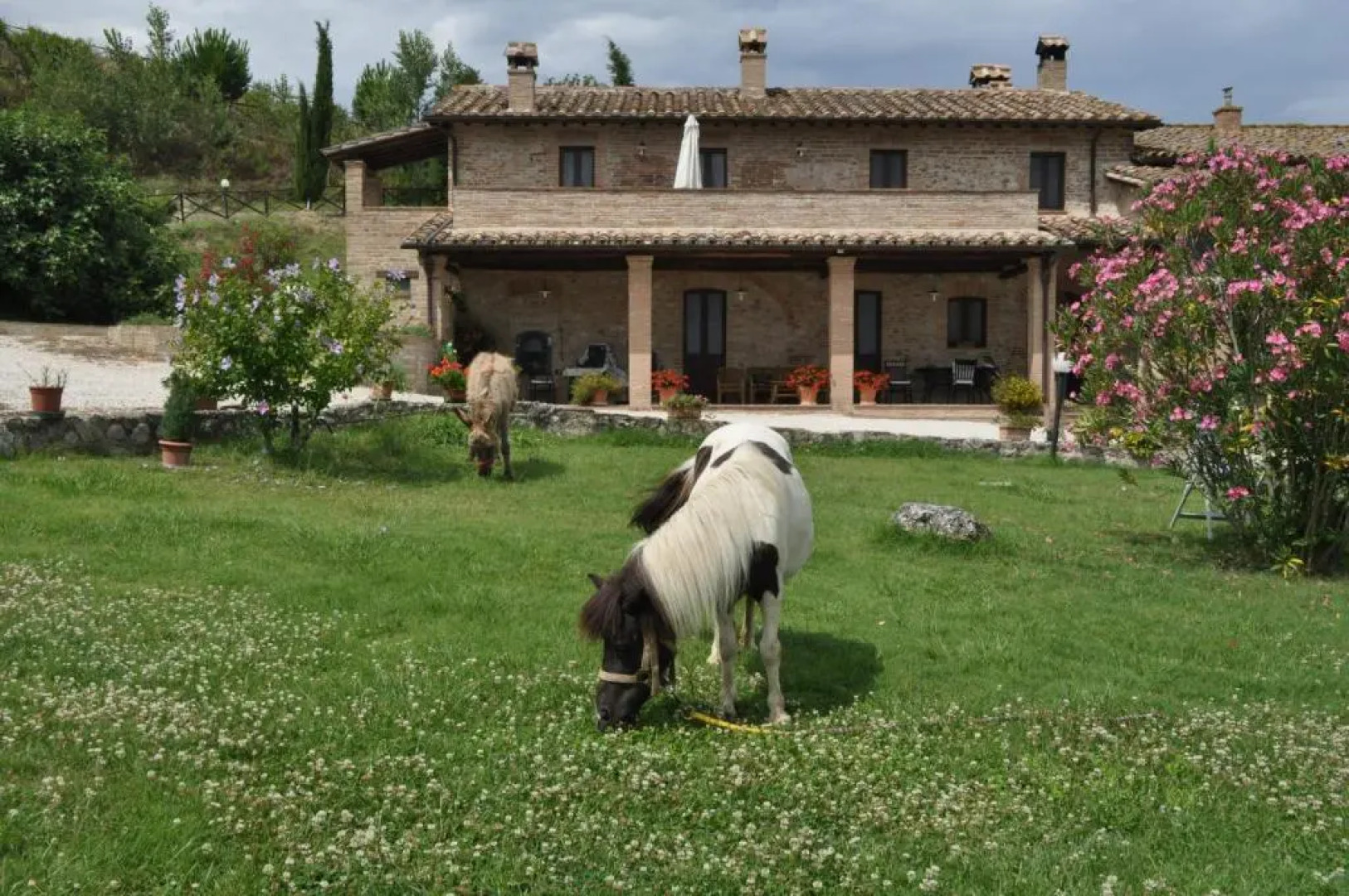 Farm stay Il Carro del Colle