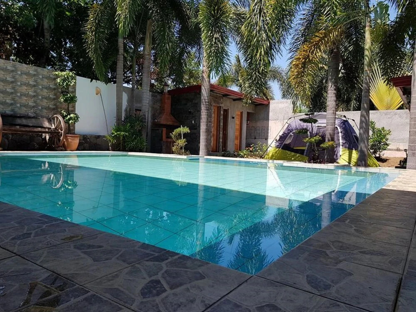 D'30 Transient with Pool in Orion