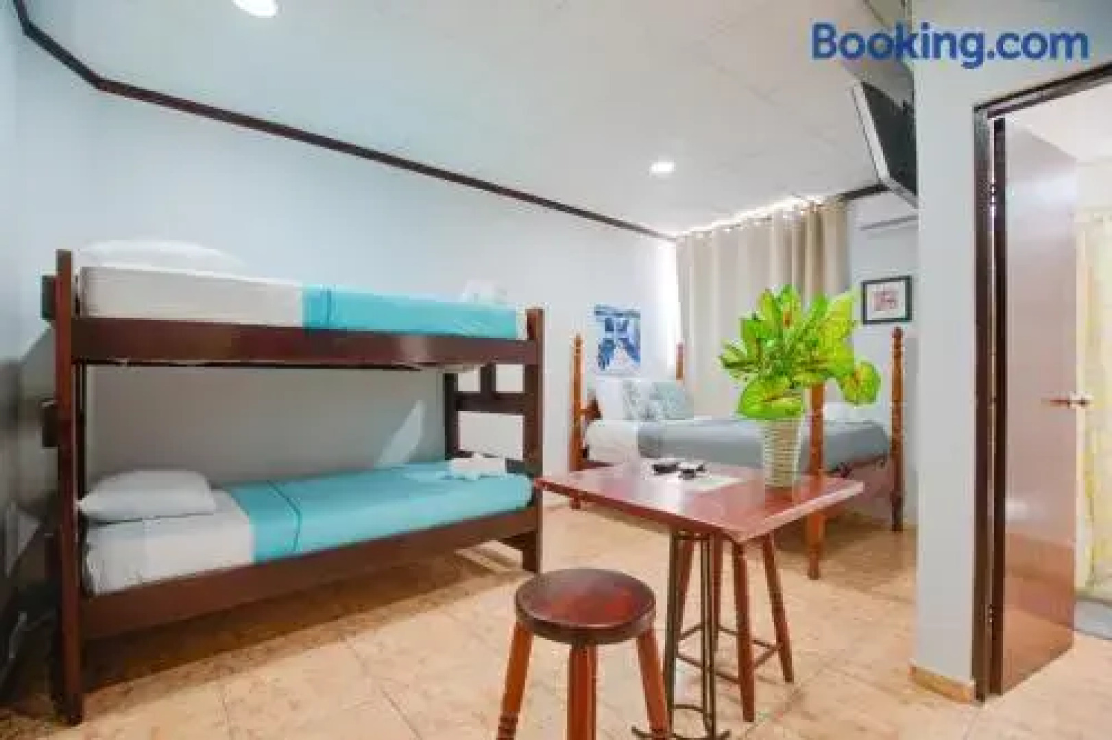 Wild Flowers Boquerón Rooms