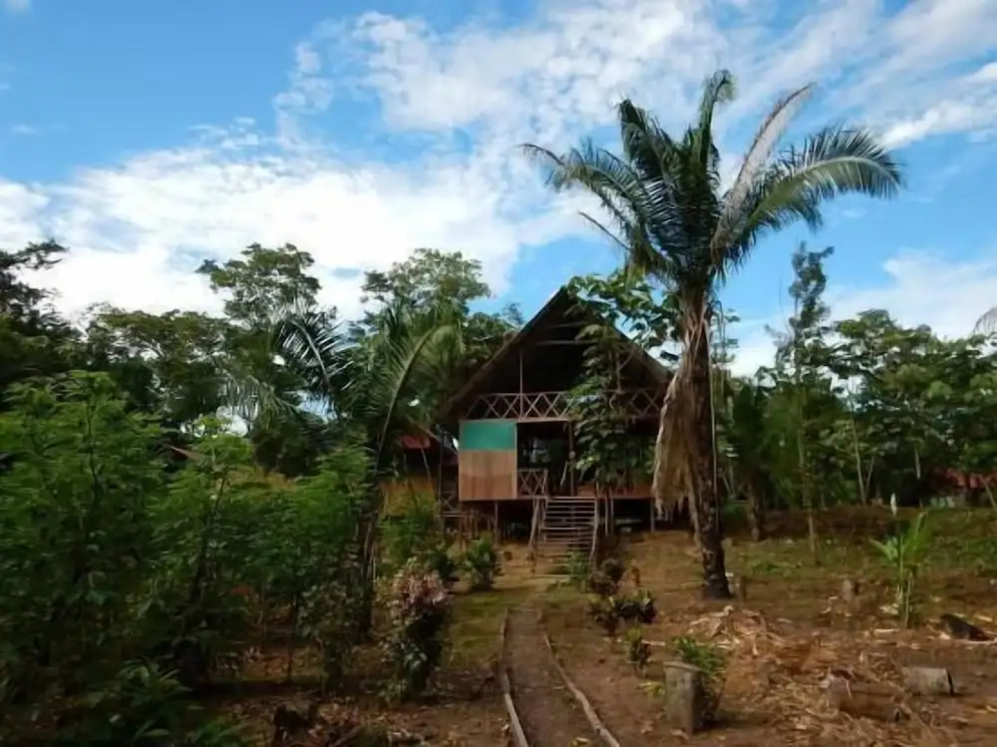 Amazon Lodge Tambopata