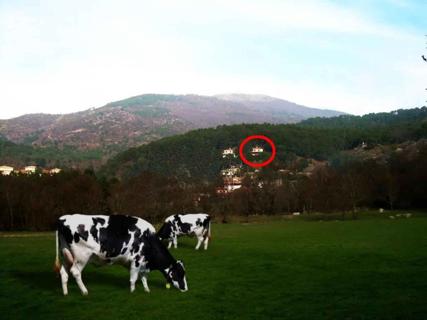 El Rincón del Tiétar