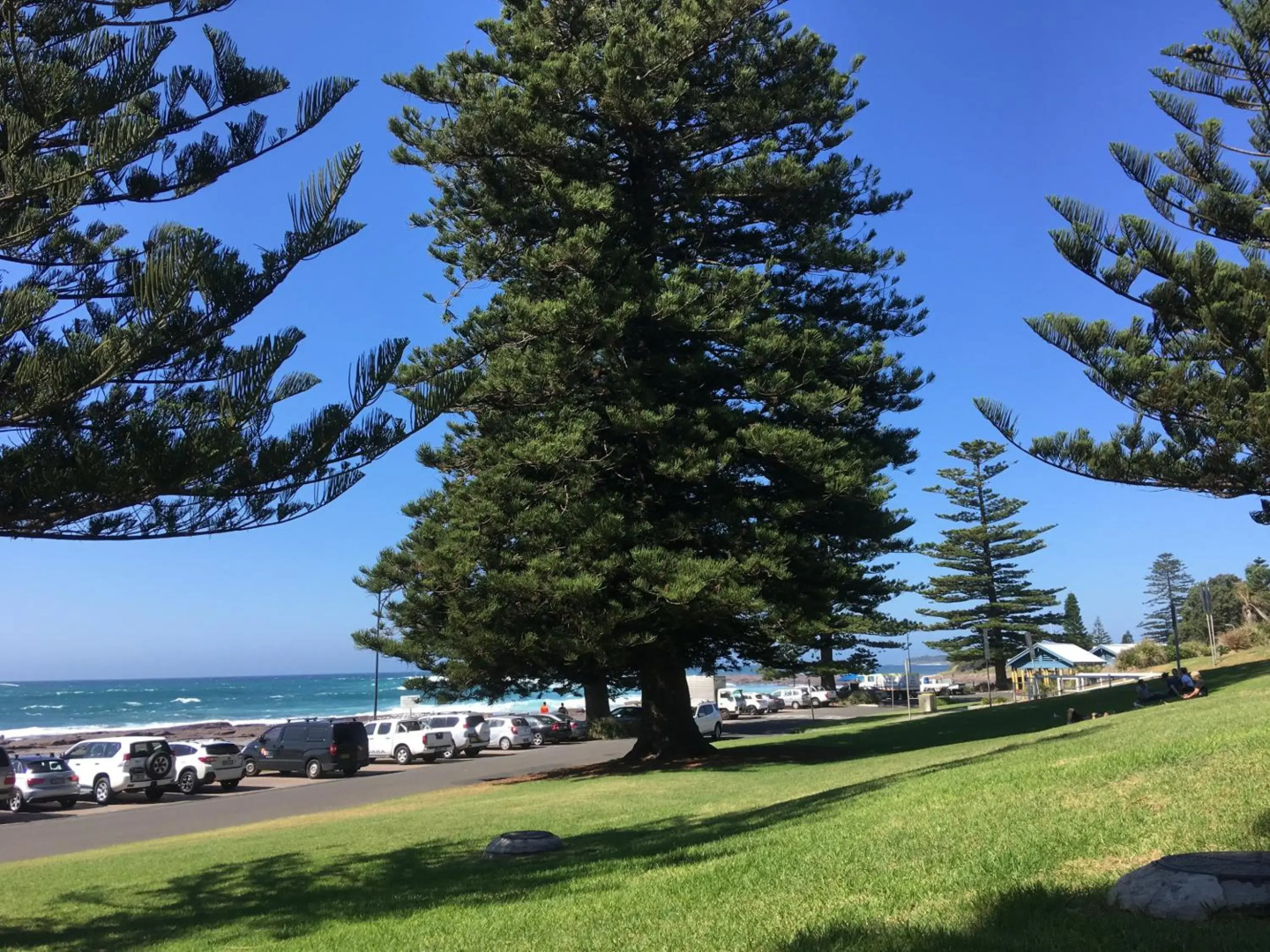 Shellharbour Beach Cottage - walk onto Patrolled beach with flags in summer