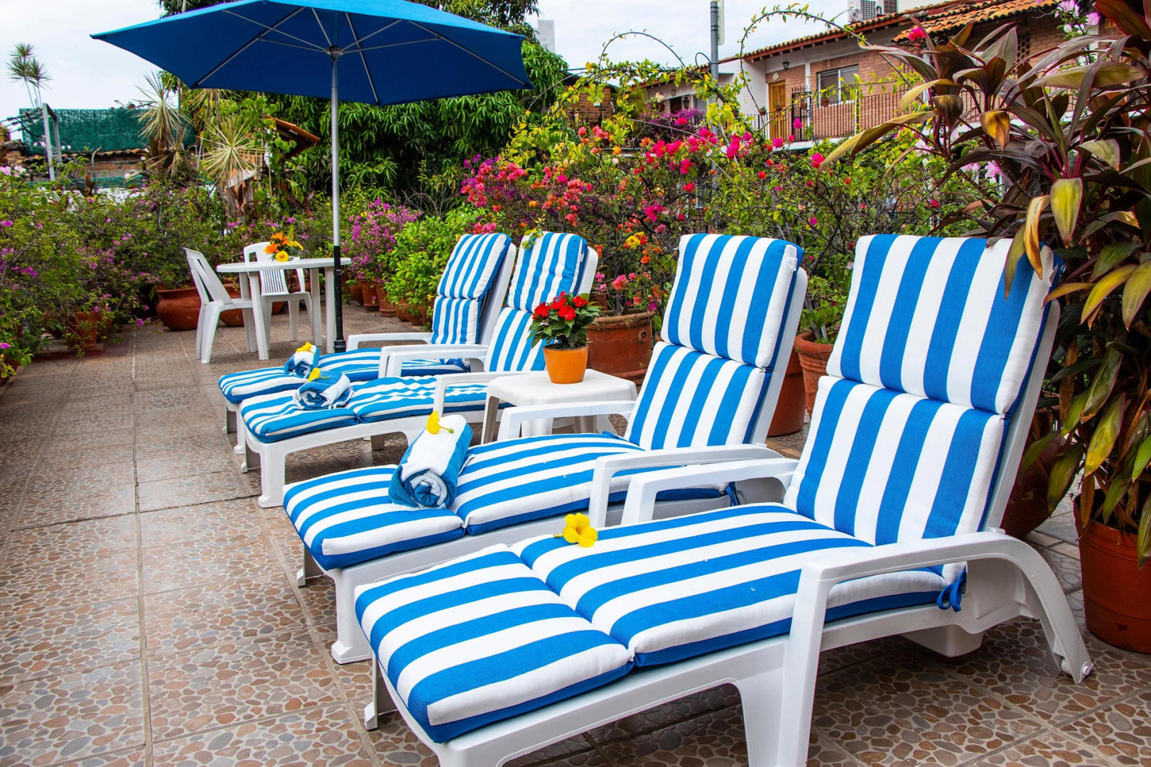 Hotel Posada de Roger - Near Los Muertos Beach