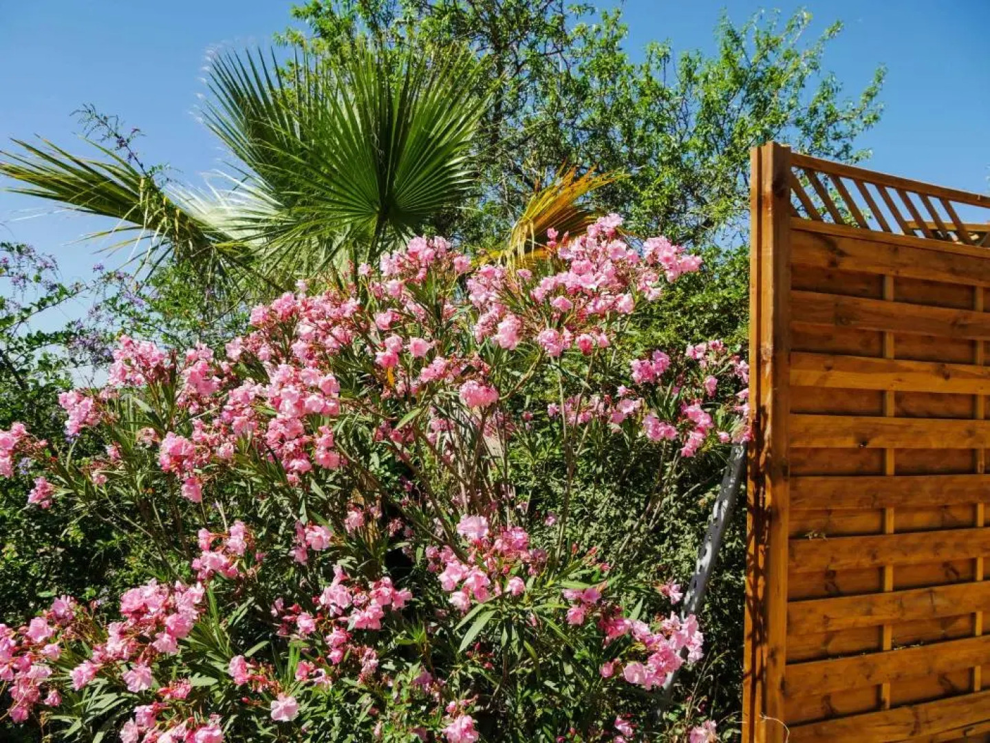 La bergerie du chateau de Fitou