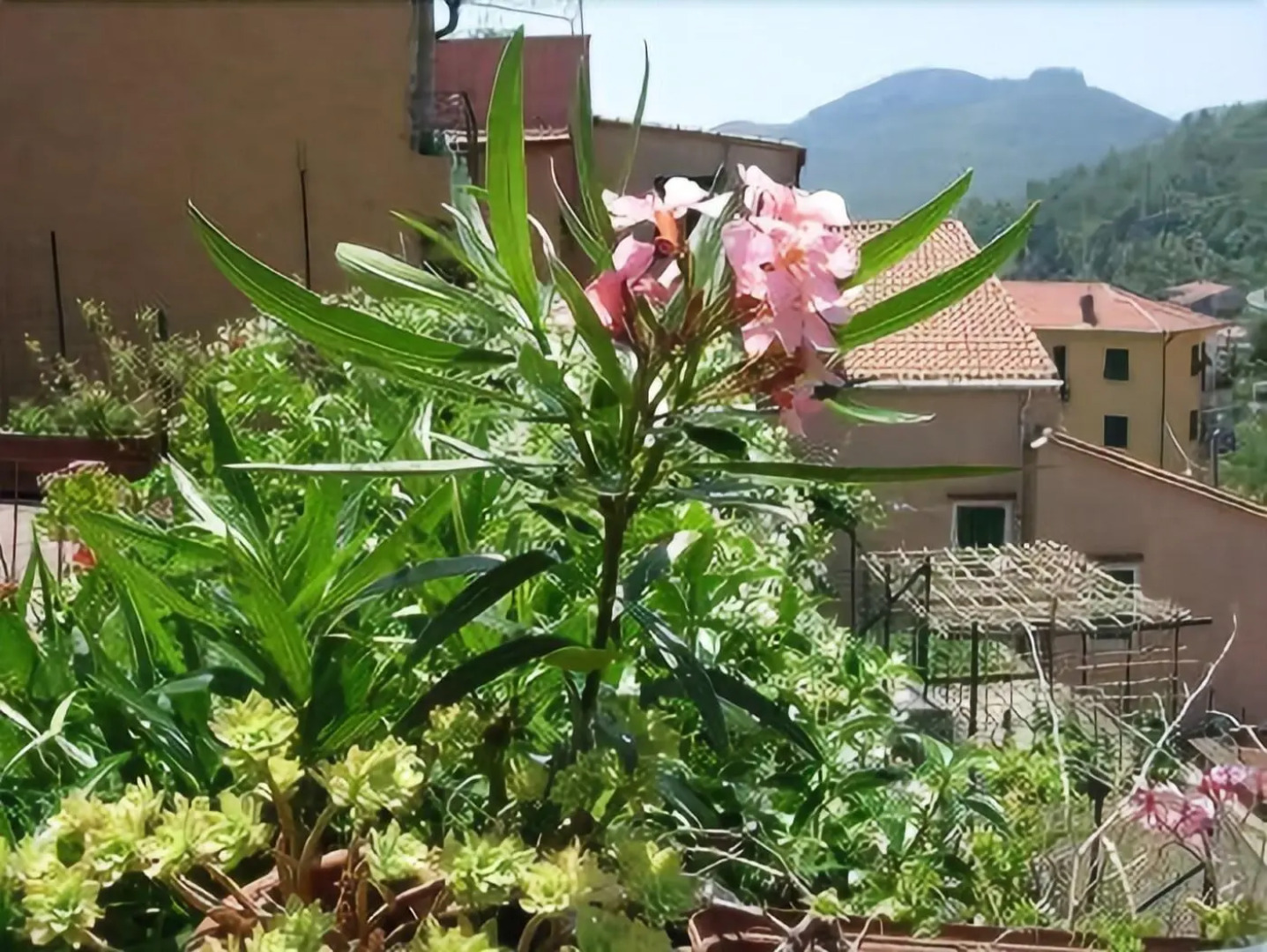 Albergo Locanda Borgo Antico