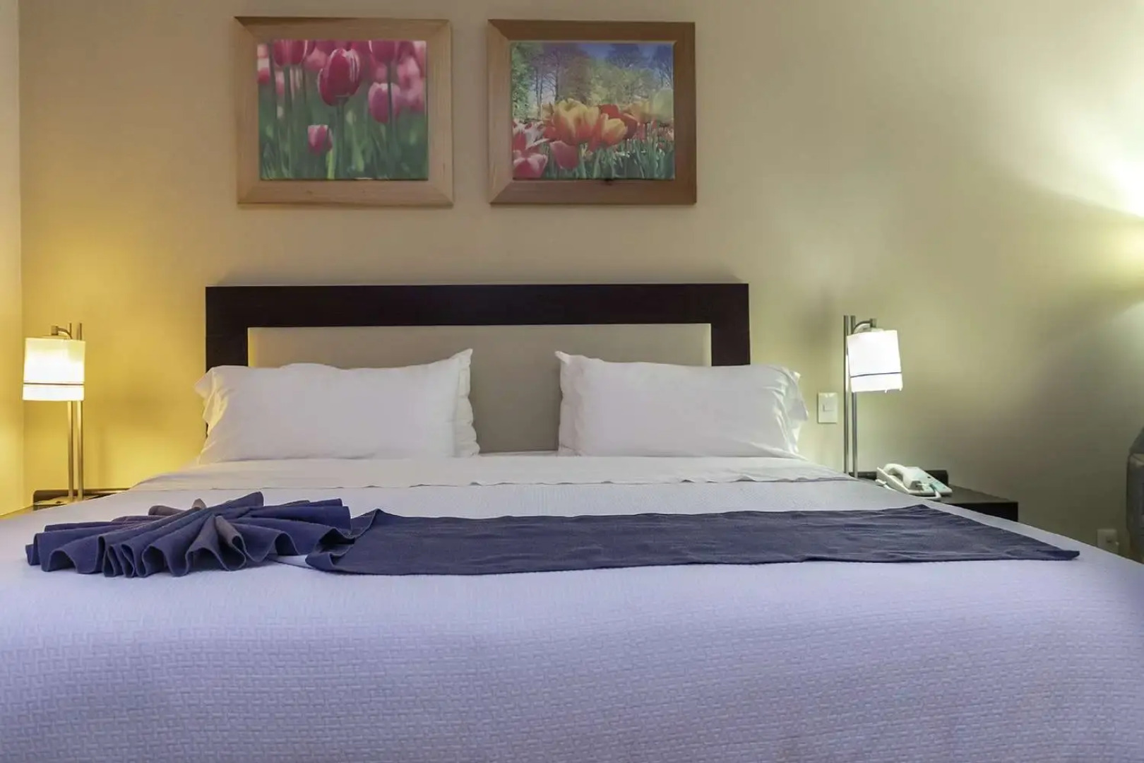 Excellence Express & Suites